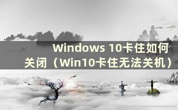 Windows 10卡住如何关闭（Win10卡住无法关机）